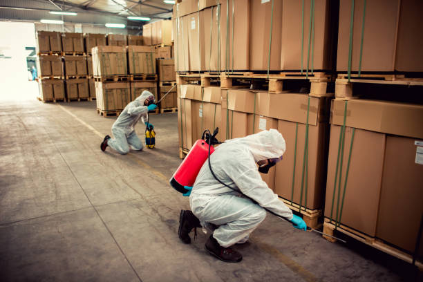 Best Wildlife Control Services  in Daly City, CA