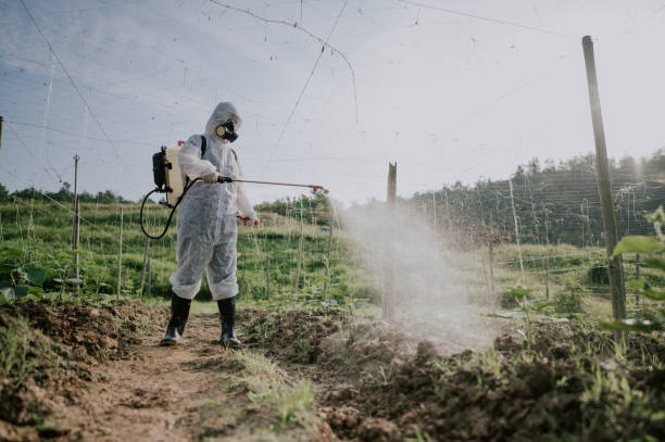 Best Mosquito Control Services  in Daly City, CA