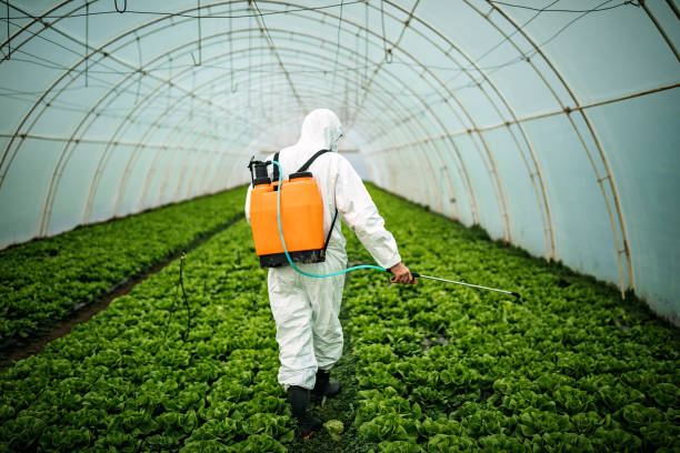Best Affordable Pest Control Services  in Daly City, CA