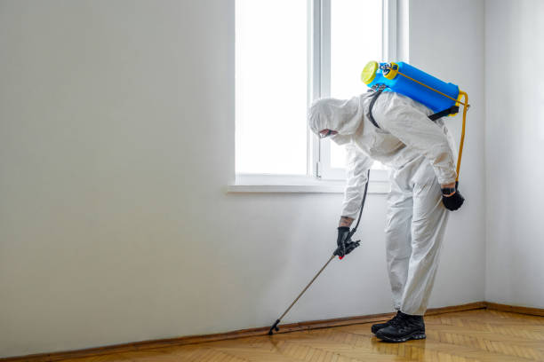 Wildlife Control Services in Daly City, CA