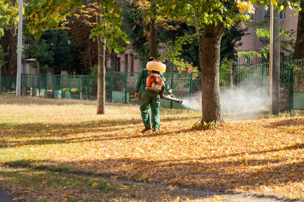 Best Pest Removal Services  in Daly City, CA