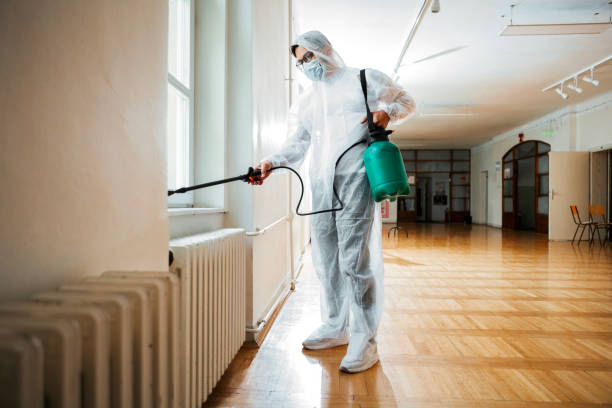 Insect Control in Daly City, CA