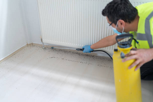 Best Exterminator Services  in Daly City, CA